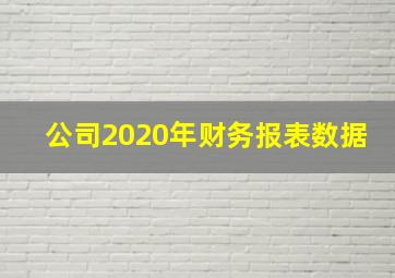 公司2020年财务报表数据