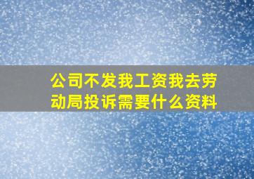 公司不发我工资我去劳动局投诉需要什么资料