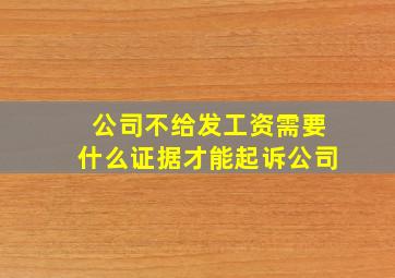 公司不给发工资需要什么证据才能起诉公司