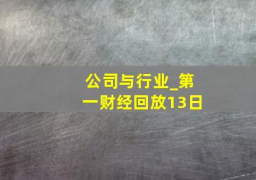 公司与行业_第一财经回放13日