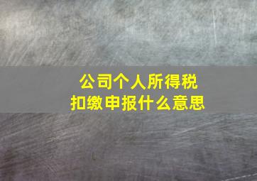 公司个人所得税扣缴申报什么意思