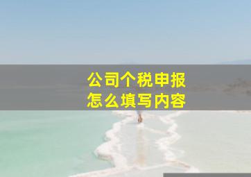 公司个税申报怎么填写内容