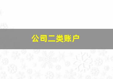 公司二类账户