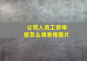 公司人员工资申报怎么填表格图片