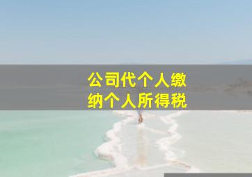 公司代个人缴纳个人所得税