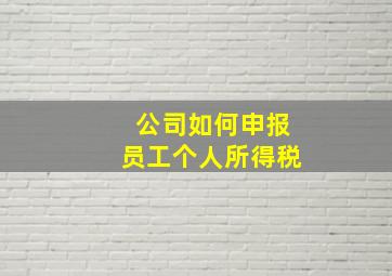 公司如何申报员工个人所得税