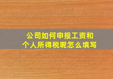 公司如何申报工资和个人所得税呢怎么填写