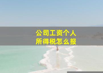 公司工资个人所得税怎么报