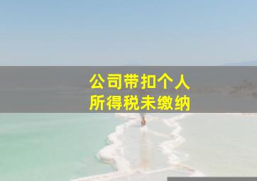 公司带扣个人所得税未缴纳