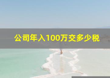 公司年入100万交多少税