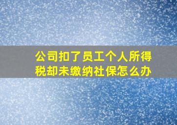 公司扣了员工个人所得税却未缴纳社保怎么办