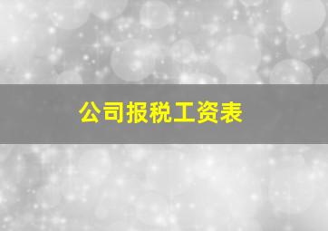 公司报税工资表