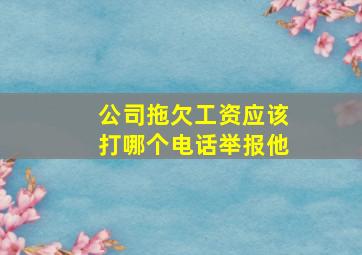 公司拖欠工资应该打哪个电话举报他