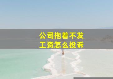 公司拖着不发工资怎么投诉