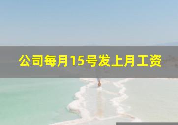 公司每月15号发上月工资