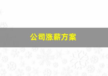 公司涨薪方案