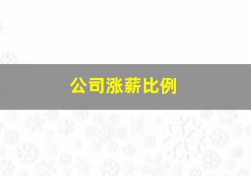 公司涨薪比例