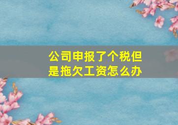 公司申报了个税但是拖欠工资怎么办