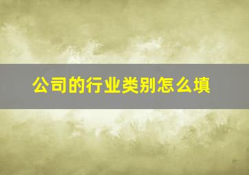 公司的行业类别怎么填