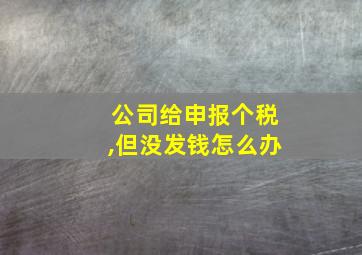 公司给申报个税,但没发钱怎么办