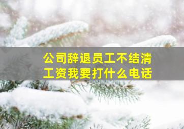 公司辞退员工不结清工资我要打什么电话