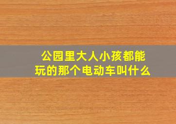 公园里大人小孩都能玩的那个电动车叫什么