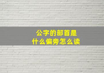 公字的部首是什么偏旁怎么读