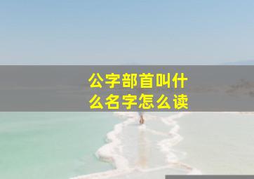 公字部首叫什么名字怎么读