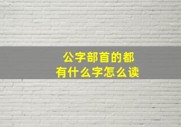 公字部首的都有什么字怎么读