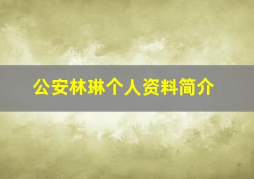 公安林琳个人资料简介