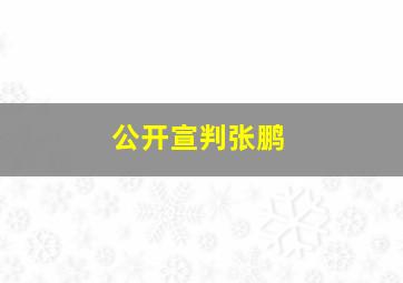 公开宣判张鹏