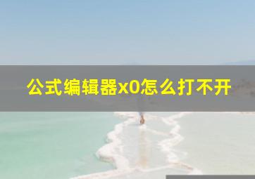 公式编辑器x0怎么打不开