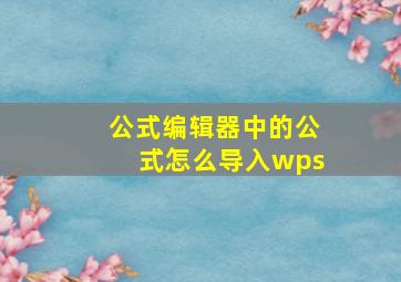 公式编辑器中的公式怎么导入wps