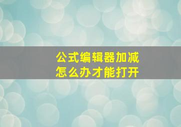 公式编辑器加减怎么办才能打开