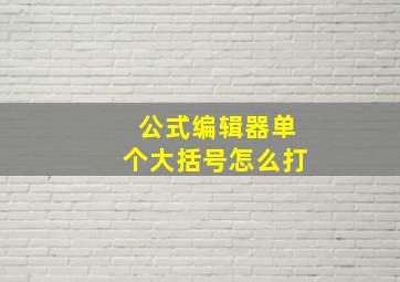 公式编辑器单个大括号怎么打