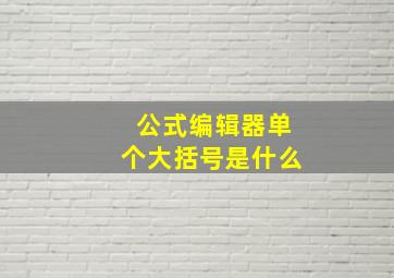 公式编辑器单个大括号是什么