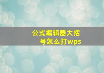 公式编辑器大括号怎么打wps