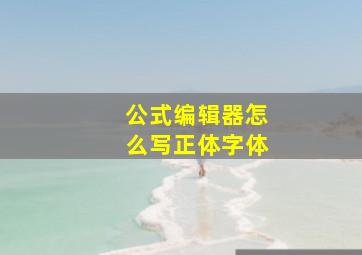 公式编辑器怎么写正体字体