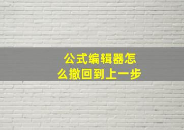 公式编辑器怎么撤回到上一步