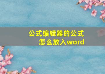 公式编辑器的公式怎么放入word