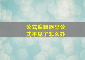 公式编辑器里公式不见了怎么办