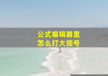 公式编辑器里怎么打大括号