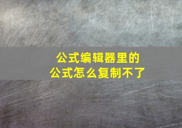 公式编辑器里的公式怎么复制不了