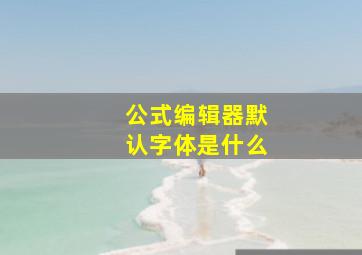 公式编辑器默认字体是什么