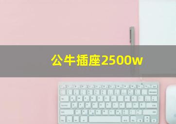 公牛插座2500w