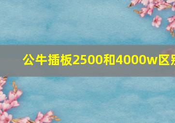 公牛插板2500和4000w区别