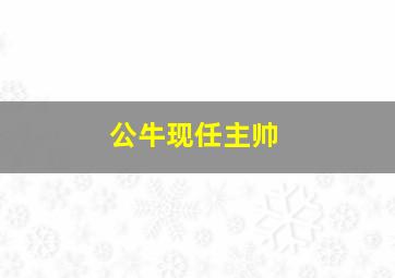 公牛现任主帅