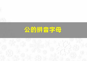 公的拼音字母