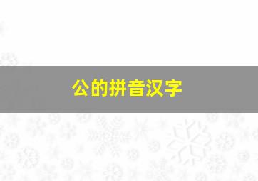 公的拼音汉字