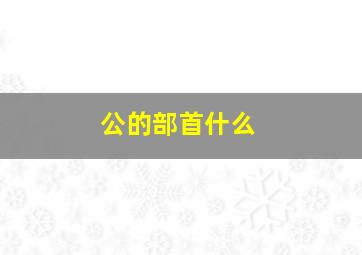 公的部首什么